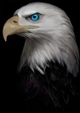 Imagem representando Foco