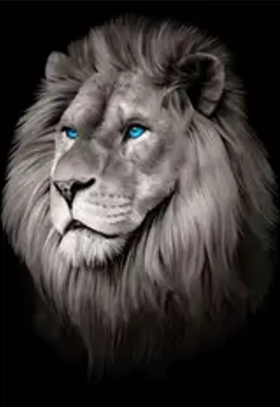 Imagem representando Disciplina